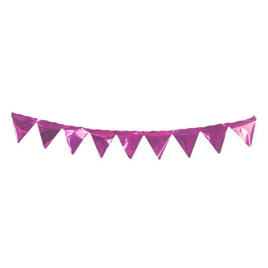 Bandeira de Plástico Metalizada 4 m Triangular Pink Glitter