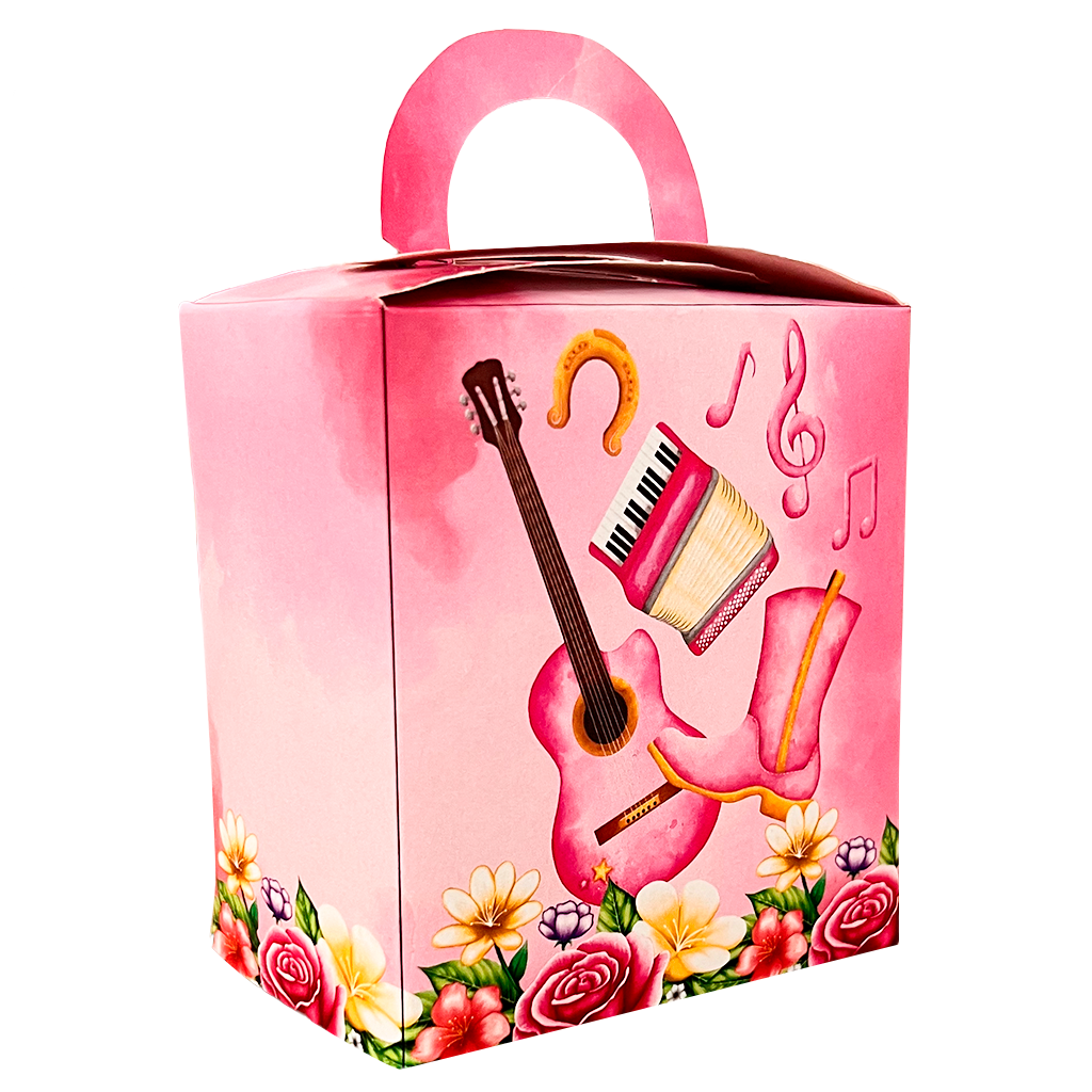 Caixa Surpresa 4 Sertanejo Rosa - 6 un.
