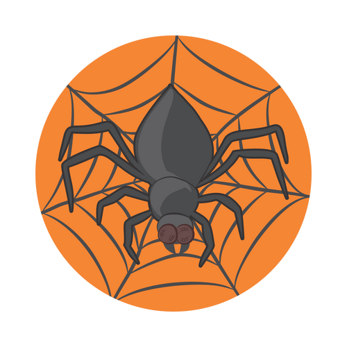 Comemoratio Adesivo 5 x 5 cm Aranha