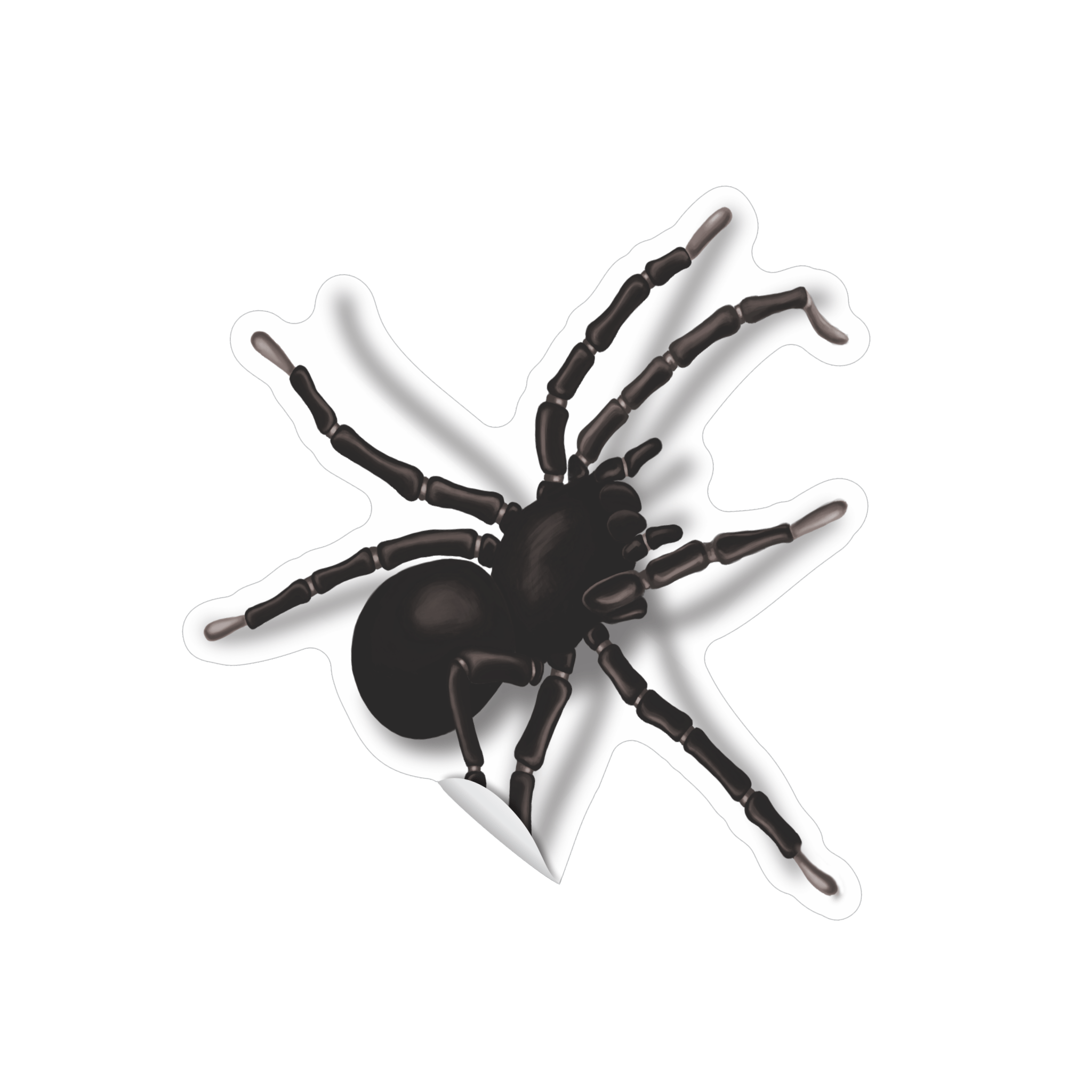 Comemoratio Adesivo Aranha