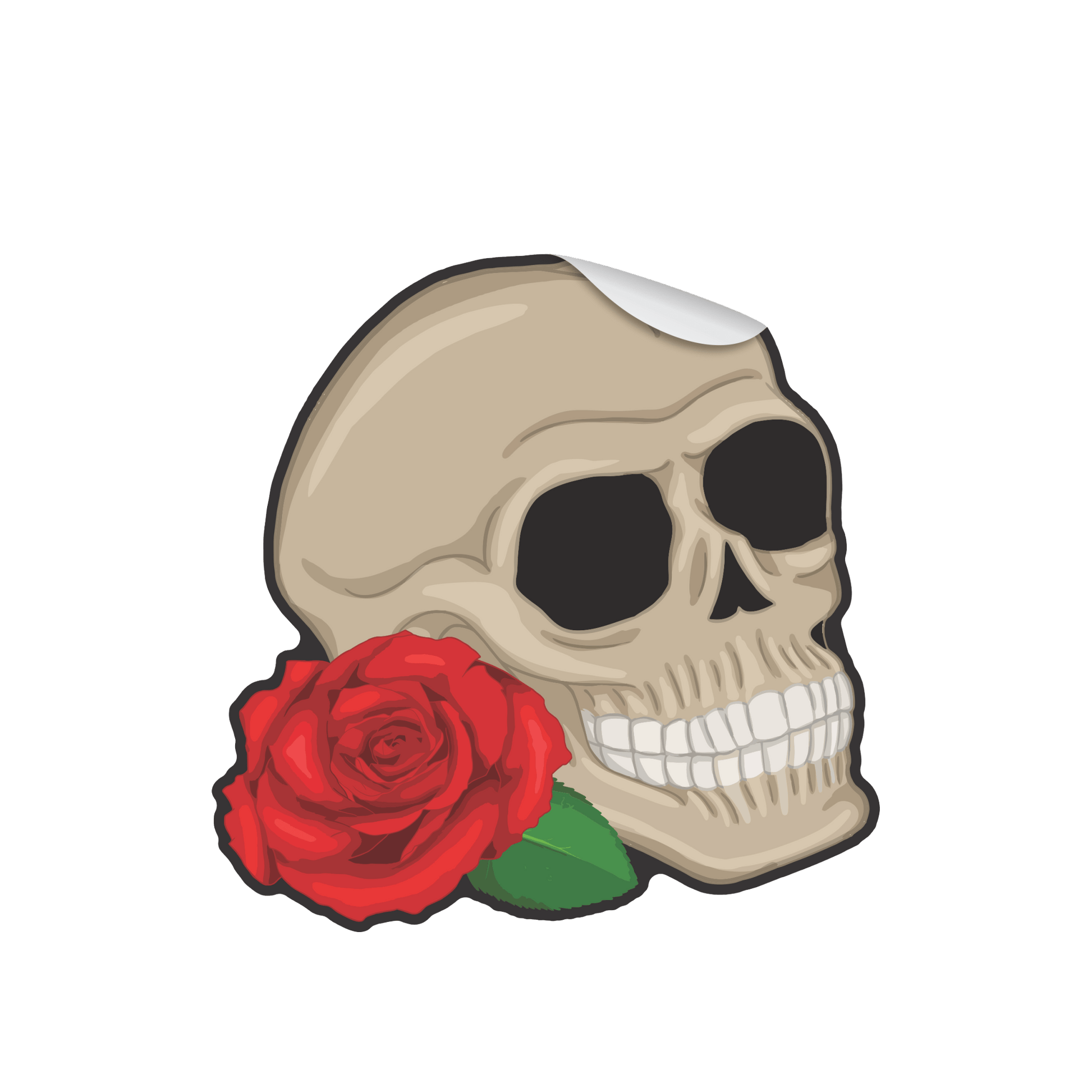 Comemoratio Adesivo Skull N Roses