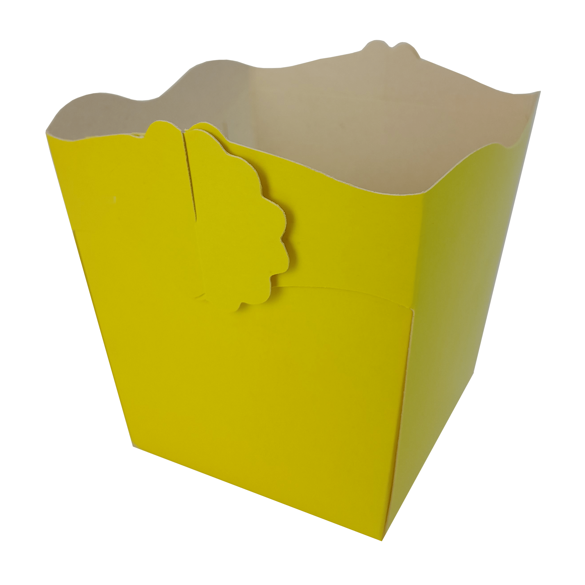 Comemoratio Cachepô Americano Amarelo