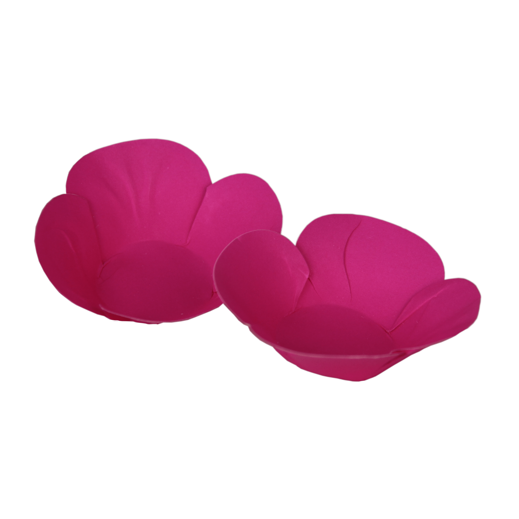 Comemoratio Forminha Luxo Pétalas Neon Pink