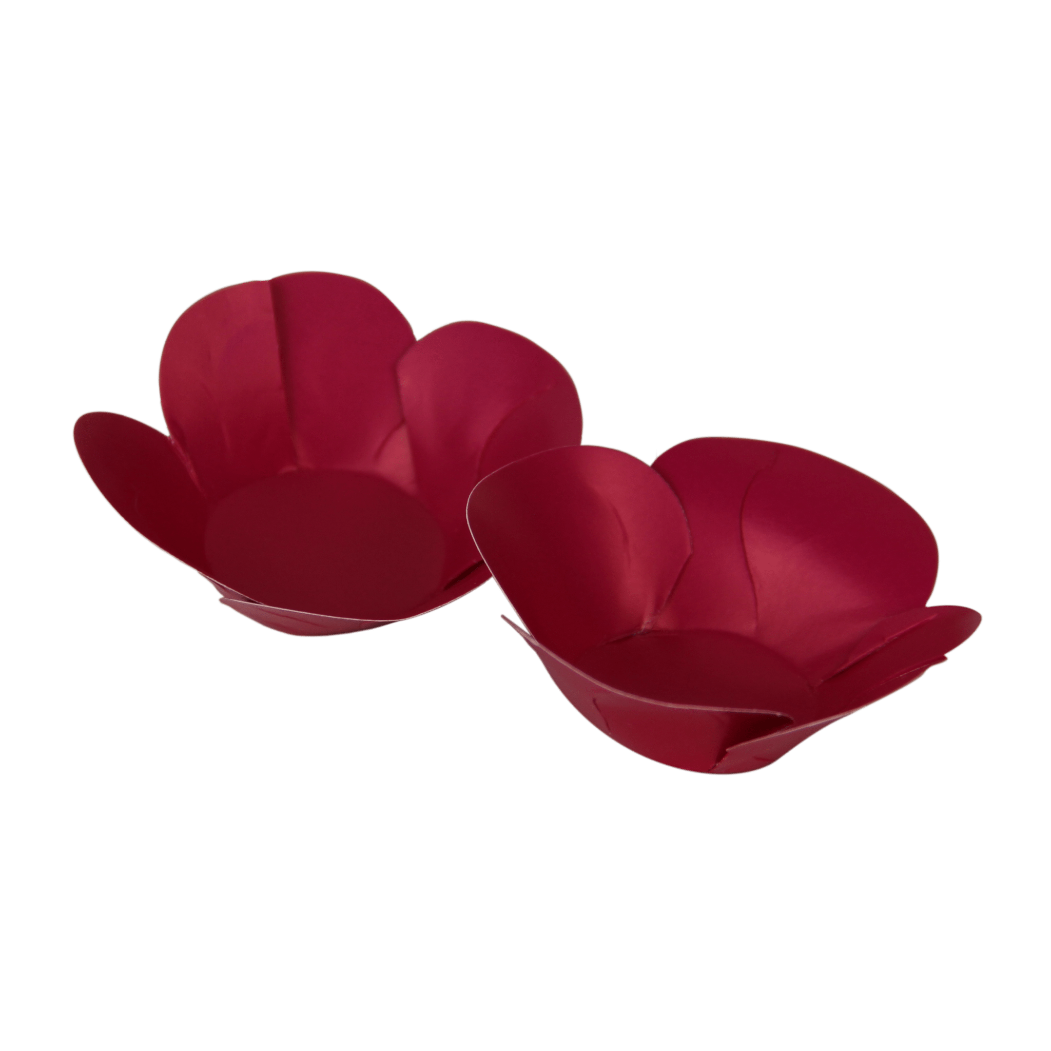Comemoratio Forminha Luxo Pétalas Pink